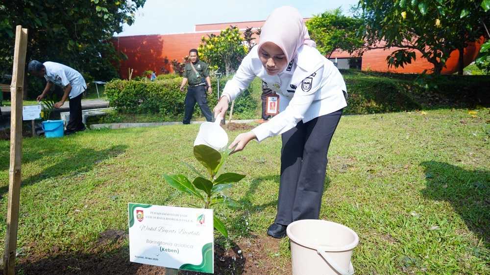 Perayaan HUT Ke-6 KRIB Diwarnai Lomba Mewarnai Tumbuhan
