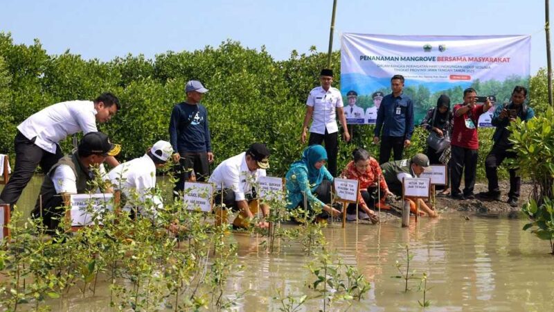 Hadang Banjir Rob Demak, Wagub Taj Yasin dan Warga Tanam 1000 Bibit Mangrove