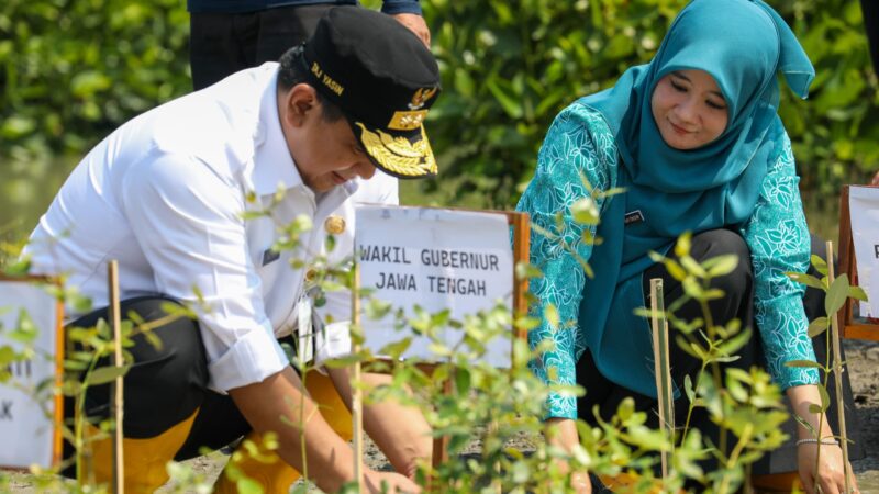 Cegah Abrasi dan Banjir Rob di Sayung Demak, Taj Yasin dan Nawal Tanam 1.000 Mangrove bersama Warga  – Pemerintah Provinsi Jawa Tengah