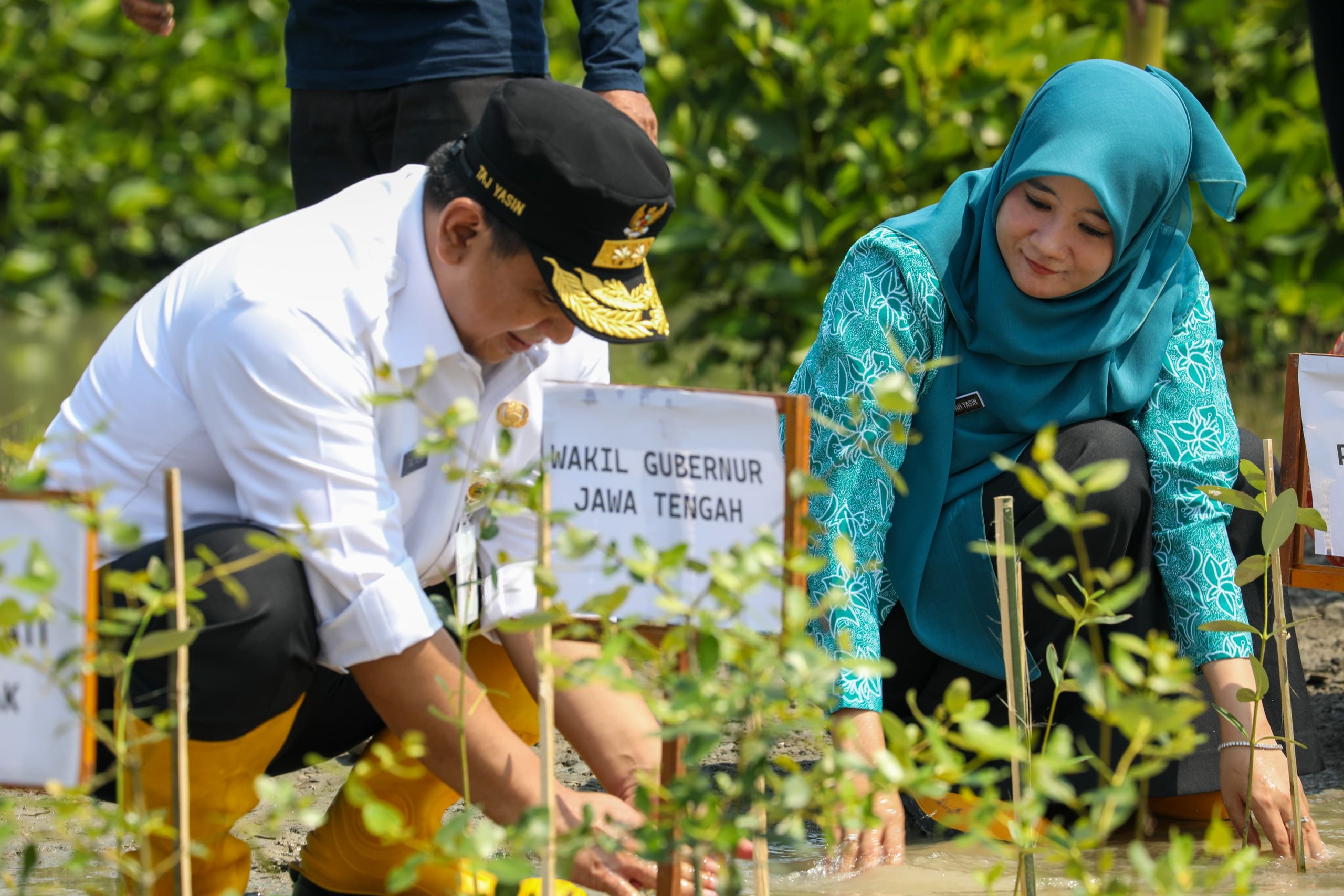 Cegah Abrasi dan Banjir Rob di Sayung Demak, Taj Yasin dan Nawal Tanam 1.000 Mangrove bersama Warga – Pemerintah Provinsi Jawa Tengah
