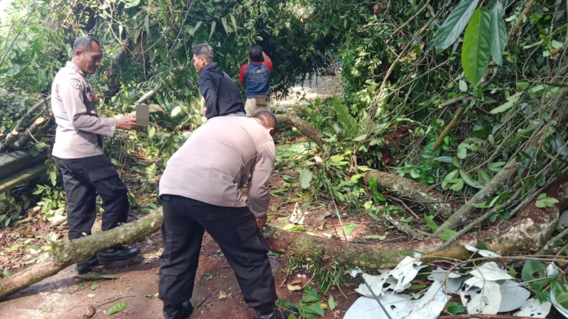 Polri bersama Warga Evakuasi Pohon Tumbang di Lebakbarang