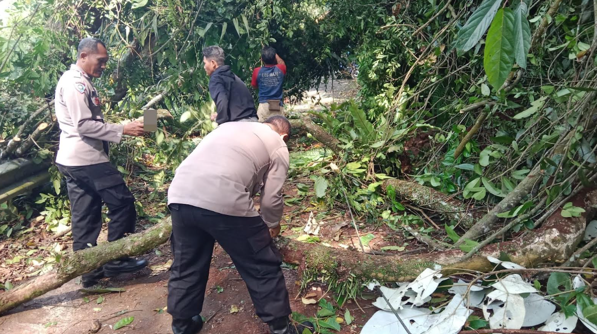 Polri bersama Warga Evakuasi Pohon Tumbang di Lebakbarang