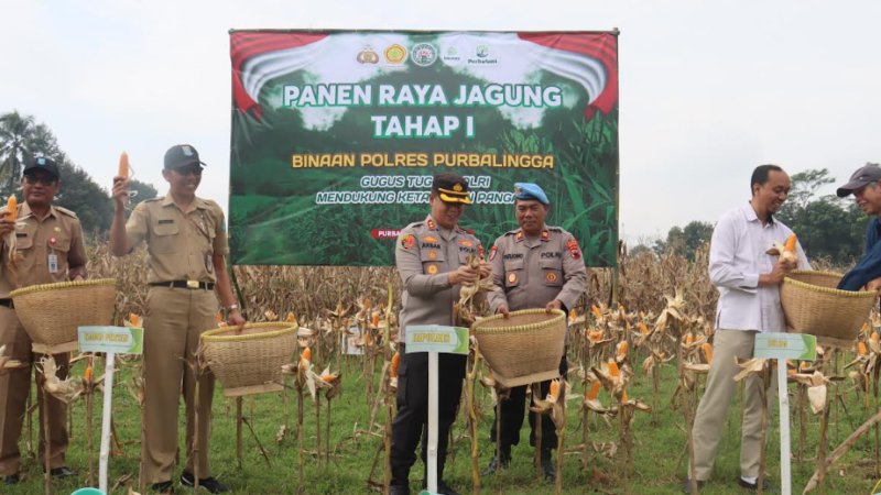 Polres Purbalingga Gelar Panen Raya Jagung di Kutasari