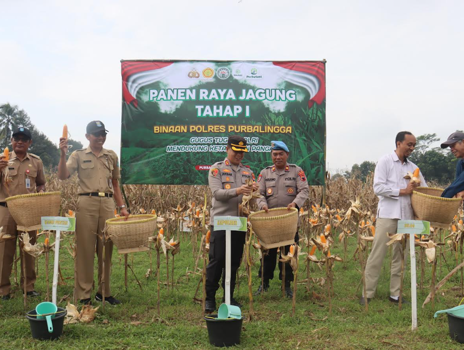Polres Purbalingga Gelar Panen Raya Jagung di Kutasari