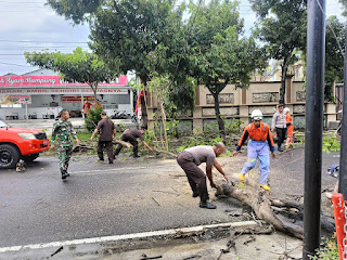 Respon Cepat, Pohon Tumbang di Jalan Kopral Sayom Berhasil Diatasi