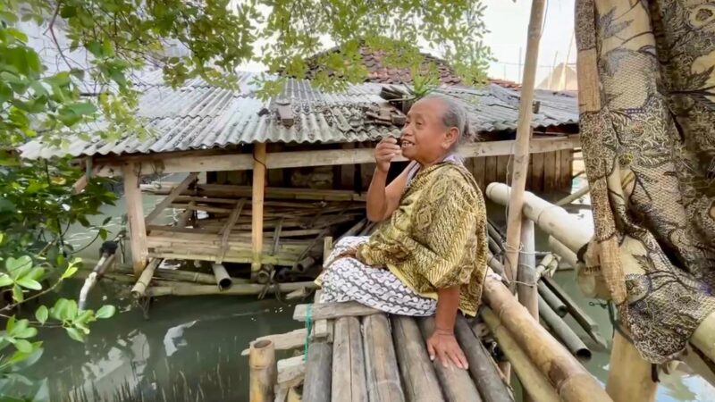20 Tahun Hidup di Atas Rob, Warga Berharap Besar dengan Tanggul Laut – Pemerintah Provinsi Jawa Tengah