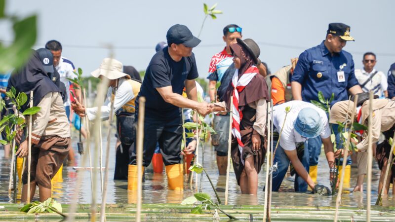 Galakkan “Mageri Segoro”, Ahmad  Luthfi Tanam 1,5 Juta Mangrove di Pesisir Jateng – Pemerintah Provinsi Jawa Tengah