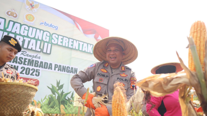 Panen Raya Jagung Serentak, Wujud Polres Pekalongan Dukung Swasembada Pangan