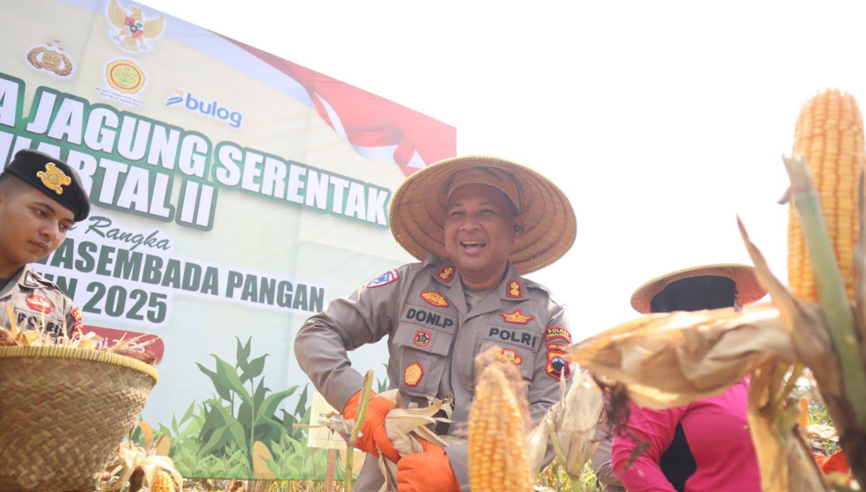 Panen Raya Jagung Serentak, Wujud Polres Pekalongan Dukung Swasembada Pangan