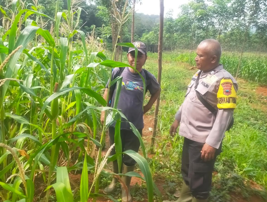 Bhabinkamtibmas dan Warga Bersinergi dalam Ketahanan Pangan di Desa Legokkalong