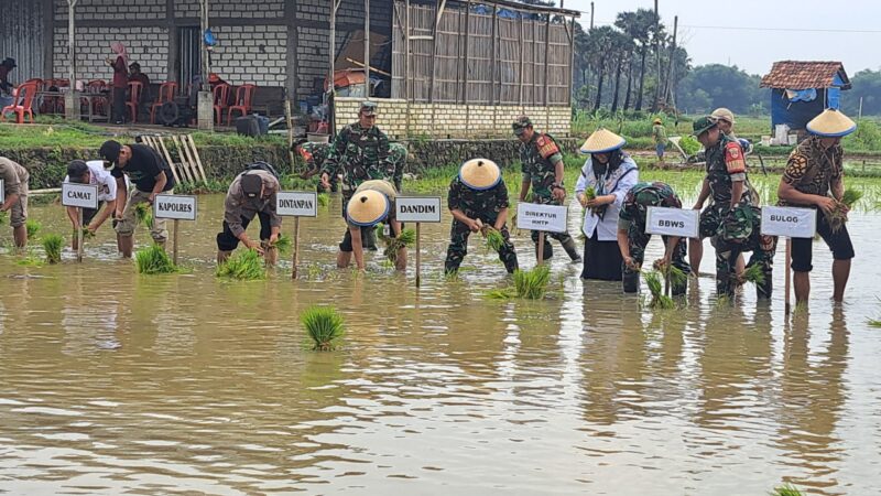 Pemkab Rembang Terus Dorong Target Luasan Tanam Padi Hingga 45 Ribu Hektare – Pemerintah Provinsi Jawa Tengah