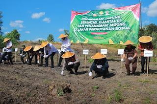Polres Klaten Tanam Jagung Serentak Dukung Ketahanan Pangan Nasional