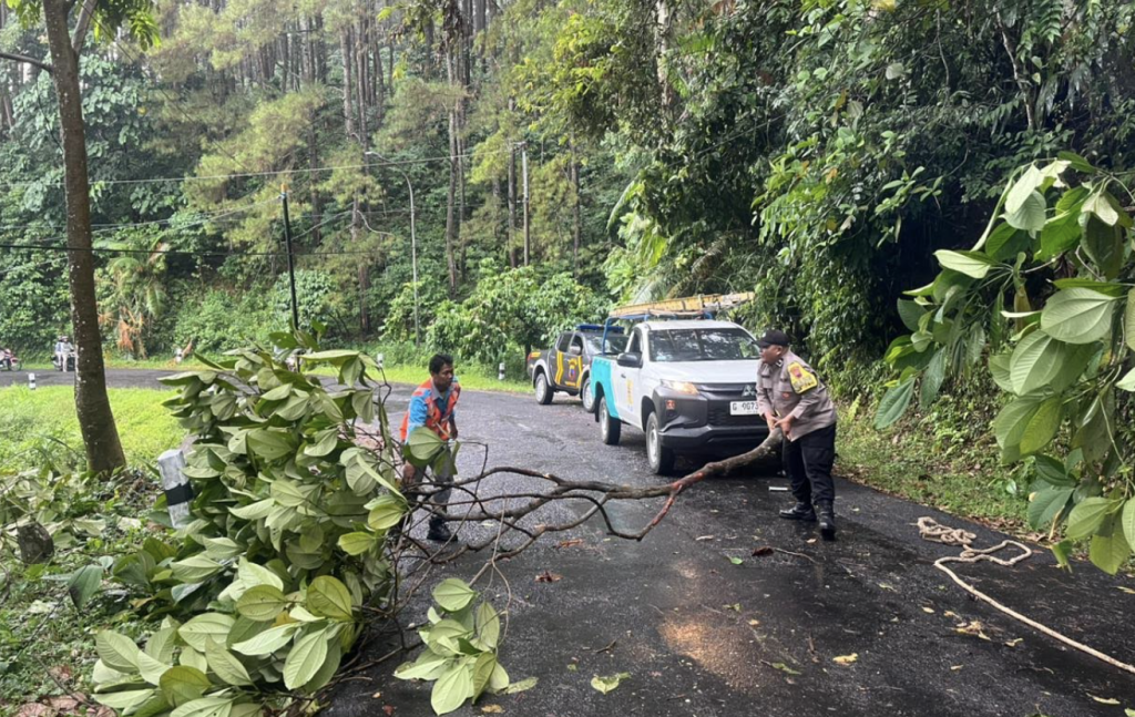 Sigap dan Tanggap! Polsek Kajen Bersama PLN Evakuasi Pohon Tumbang yang Timbulkan Kemacetan di Jalur Kajen–Paninggaran